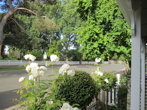 Arendon Cottage - Darwin Holiday 1