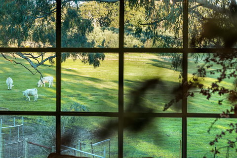 Australia Suite - Darwin Holiday 1