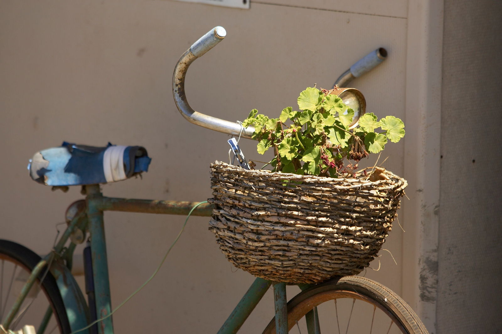 Hanwood NSW Darwin Holiday