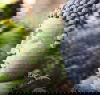 Happy Buddha Retreats