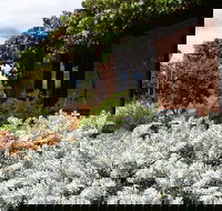 Kangaroos in the Top Paddock