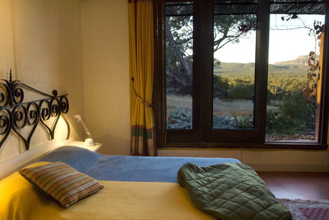 Kangaroos In The Top Paddock - Darwin Holiday 1