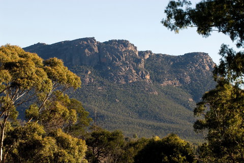 Kangaroos In The Top Paddock - Darwin Holiday 2