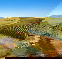 Mt Bellevue - King Valley