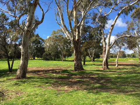 Ocean Valley Paradise - Darwin Holiday 1