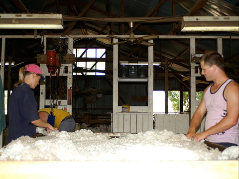 Pelican Sheep Station - Darwin Holiday 0