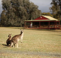 The Pokolbin Cabins - Darwin Holiday