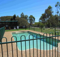 Twin Trees - Darwin Holiday