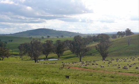 Wantana Cottage Farm Stay - Darwin Holiday 0