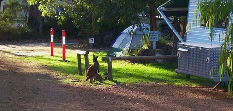 Aroundtu-It Eco Caravan Park - Darwin Holiday 5