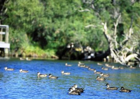 Comfort Inn Yanchep - Darwin Holiday 4