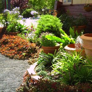 Northcliffe Bibbulmun Break Motel - Darwin Holiday 3