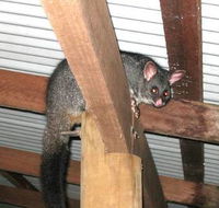 Warren River Resort - Darwin Holiday