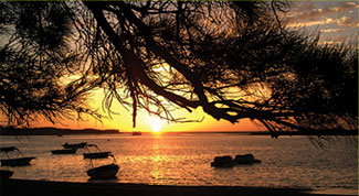 Pelican's Nest - Darwin Holiday 0