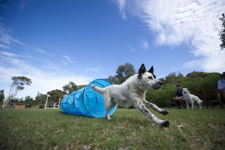 North Beach Holiday Park - Darwin Holiday 1