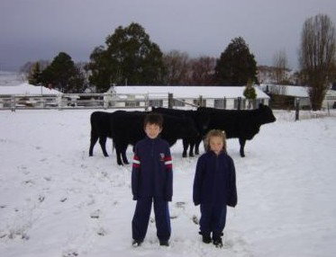 San Michele Resort - Darwin Holiday 4