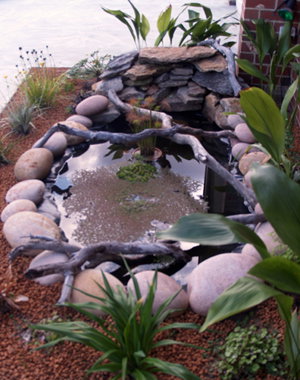 Equal Balance Bed And Breakfast - Darwin Holiday 0