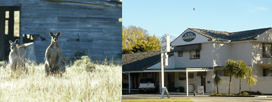 Acacia Motor Inn - Darwin Holiday 5