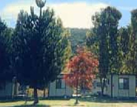 Anglers Reach Caravan Park - Darwin Holiday 0