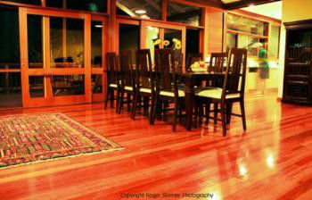 Grass Trees Escape - Darwin Holiday 1