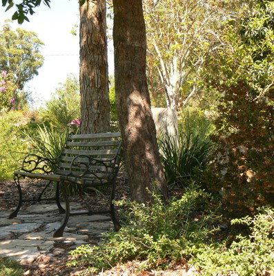 Ashby Cottage - Darwin Holiday 3