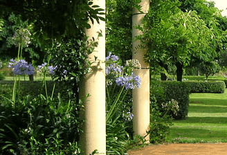 Tree Elle Retreat - Darwin Holiday 1