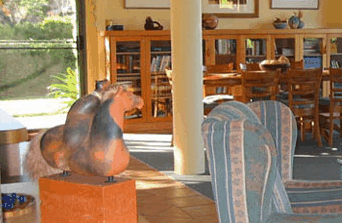 Tree Elle Retreat - Darwin Holiday 2