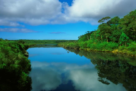 Nutkin Lodge - Darwin Holiday 3