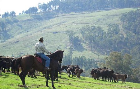 Bridgetown Riverside Chalets - Darwin Holiday 3
