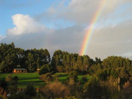 Pemberton Lavender And Berry Farm Cafe And Cottages - Darwin Holiday 3