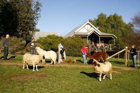 Sunnyhurst Chalets - Darwin Holiday 0