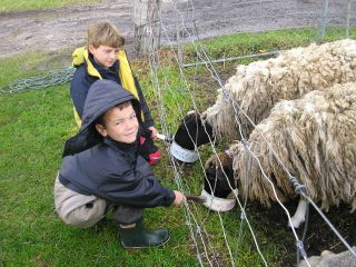 Meerup Springs Farmstay - Darwin Holiday 3