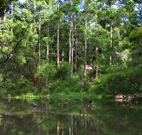 Peppermint Grove Retreat - Darwin Holiday