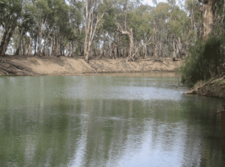 Balranald Club Motel - Darwin Holiday 1