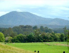 Bellingen Farmstay - Darwin Holiday 4