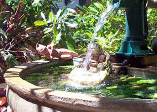 Bondi Beach Garden Sweet - Darwin Holiday 3