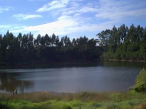 Jenny's Lake Farm B&B - Darwin Holiday 5