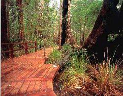 Coalmine Beach Holiday Park - Darwin Holiday 3