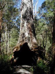 Coalmine Beach Holiday Park - Darwin Holiday 4