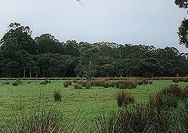 Bush Haven - Darwin Holiday 4