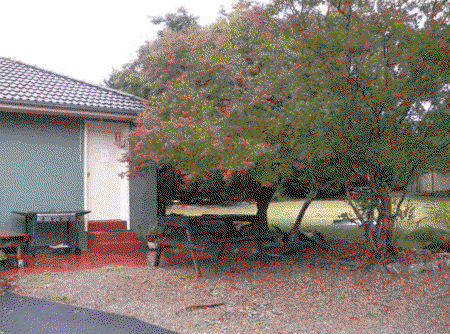 Bargo Motor Inn - Darwin Holiday 1