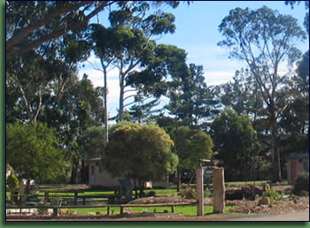 Kalgan River Chalets And Caravan Park - Darwin Holiday 0