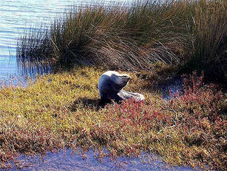 Australind Tourist Park - Darwin Holiday 2