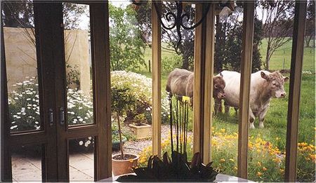 Chalet Arunga - Darwin Holiday 4