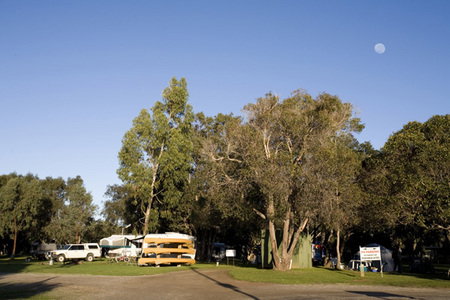 Molloy Caravan Park - Darwin Holiday 1