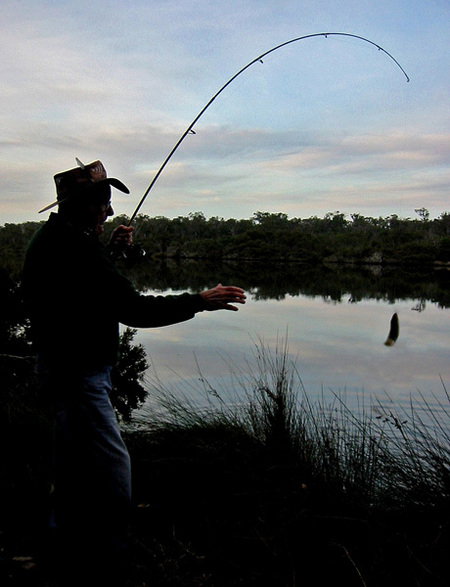 Molloy Caravan Park - Darwin Holiday 5