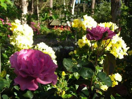 Ford House Retreat - Darwin Holiday 0