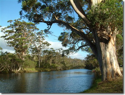 The Coombe On Wilson Inlet - Darwin Holiday 5