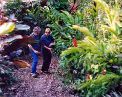 Milkwood Lodge - Darwin Holiday 1