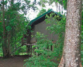 Lions Den Hotel - Darwin Holiday 4